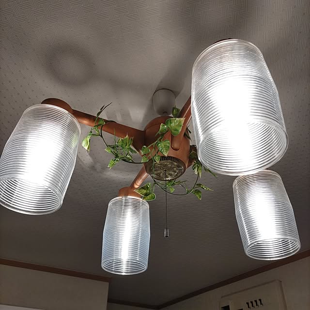 oxoさんの実例写真