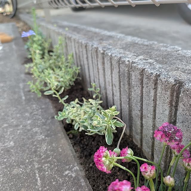 KOHAKUさんの部屋