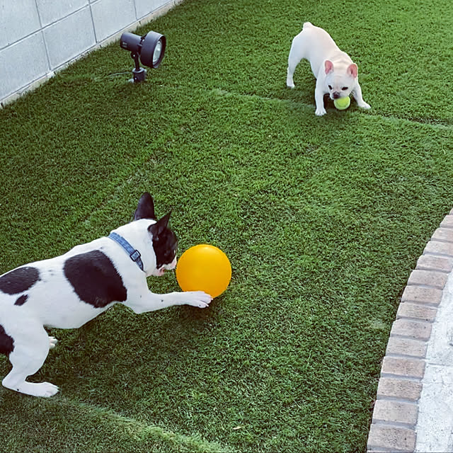 mochirenaさんの実例写真