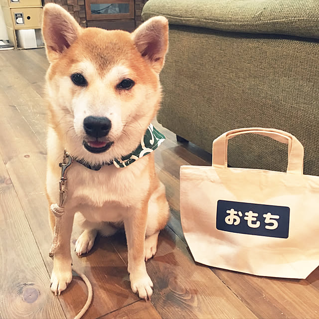 osuさんの実例写真