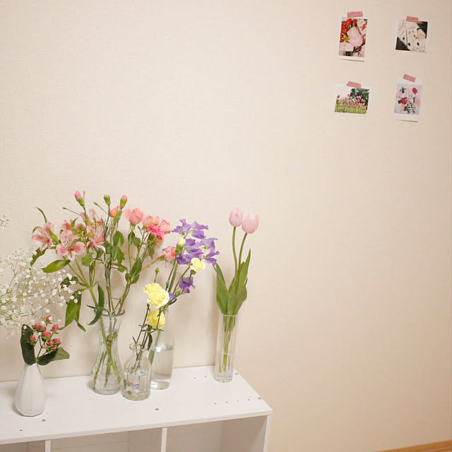 osakanaさんの実例写真