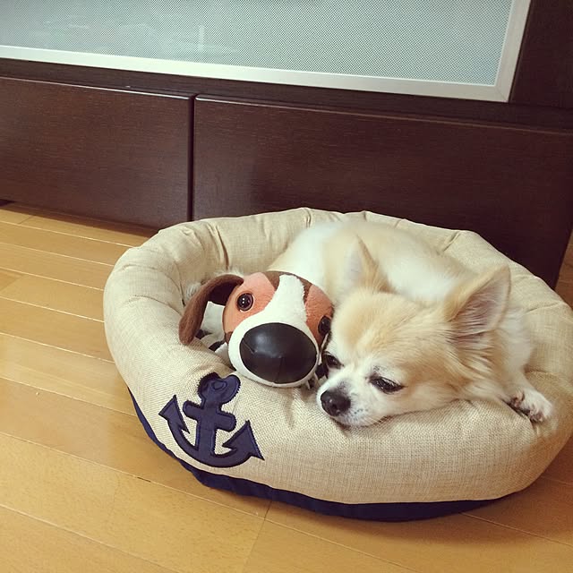 nanaさんの実例写真