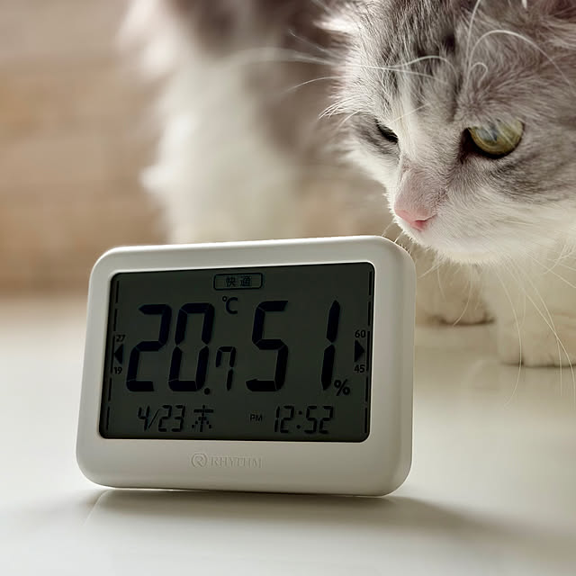 cotoriさんの部屋