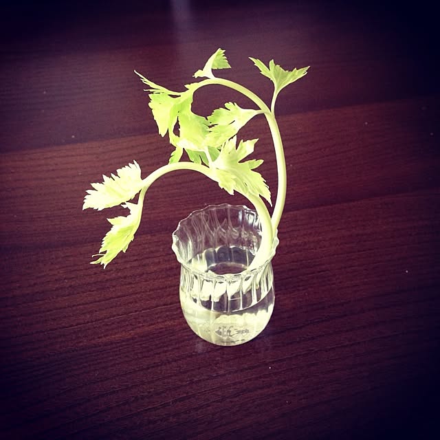 mokurollさんの実例写真