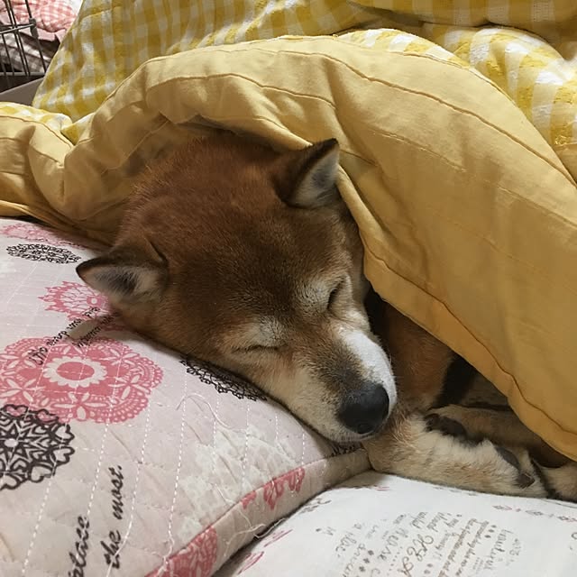chamuさんの実例写真