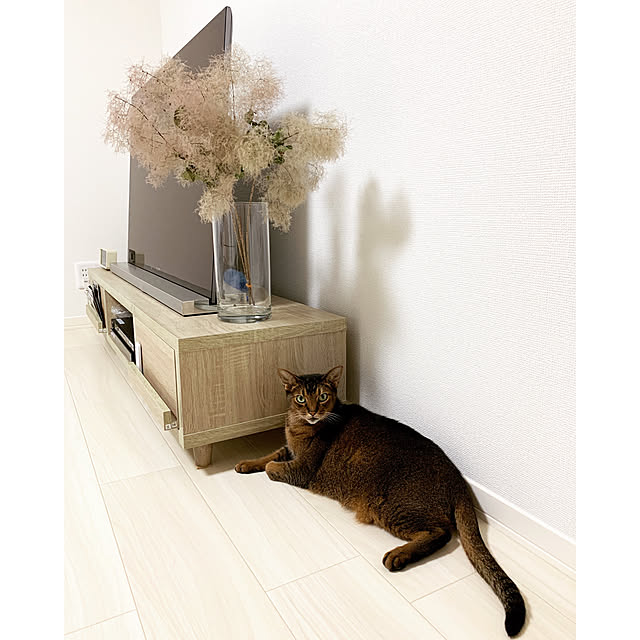 michunekoさんの実例写真
