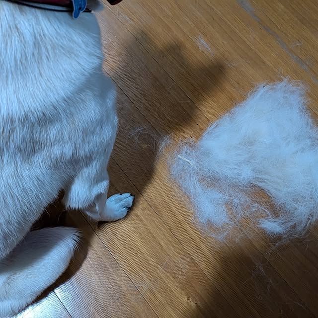 asaさんの部屋