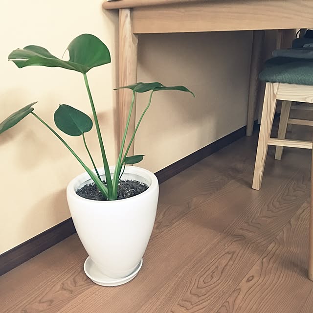 scarletさんの実例写真
