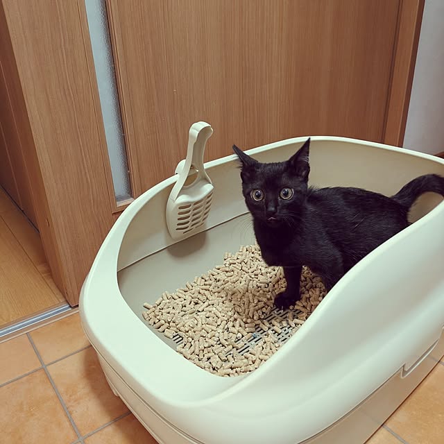 MyuRuuさんの実例写真