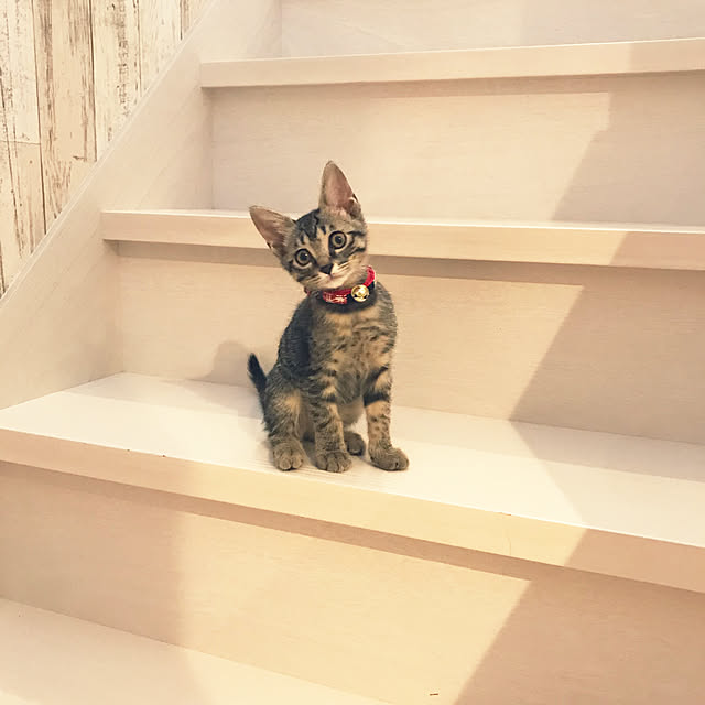 mmeeronさんの実例写真