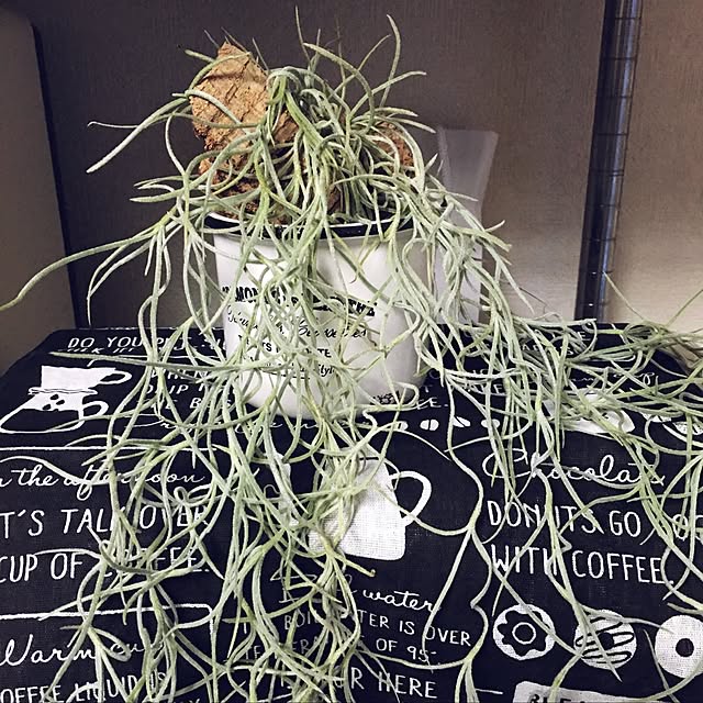 moonさんの実例写真