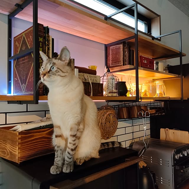 Atelier_tamakiさんの部屋