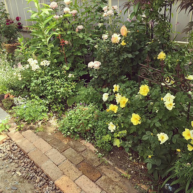 muraさんの実例写真