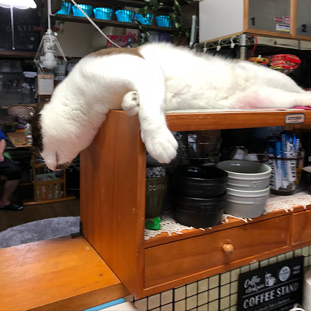vivienne.coco-keiさんの実例写真