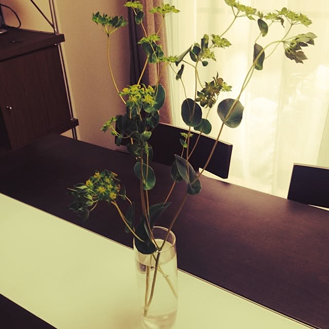 citronさんの実例写真