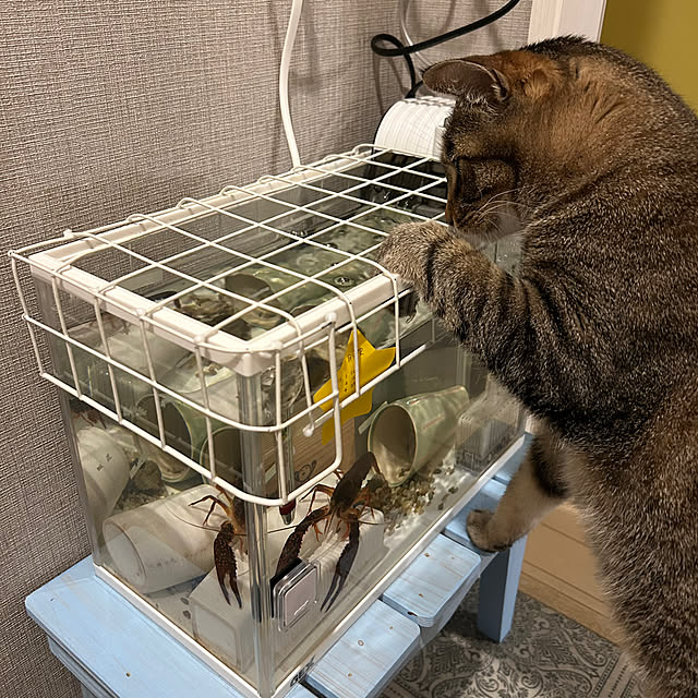 mikomaruさんの部屋