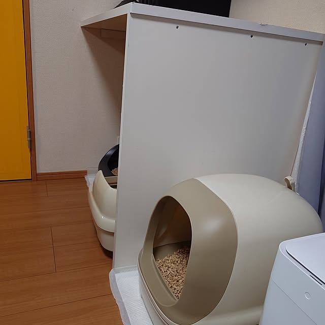 noguriさんの部屋