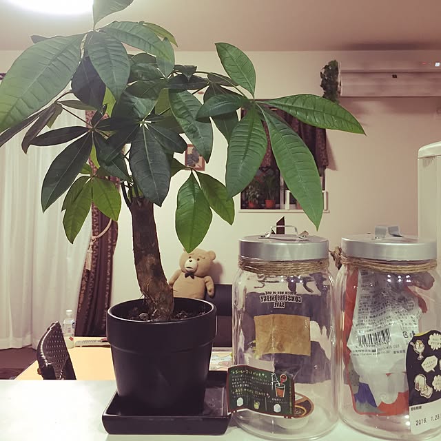 NYUITANさんの実例写真