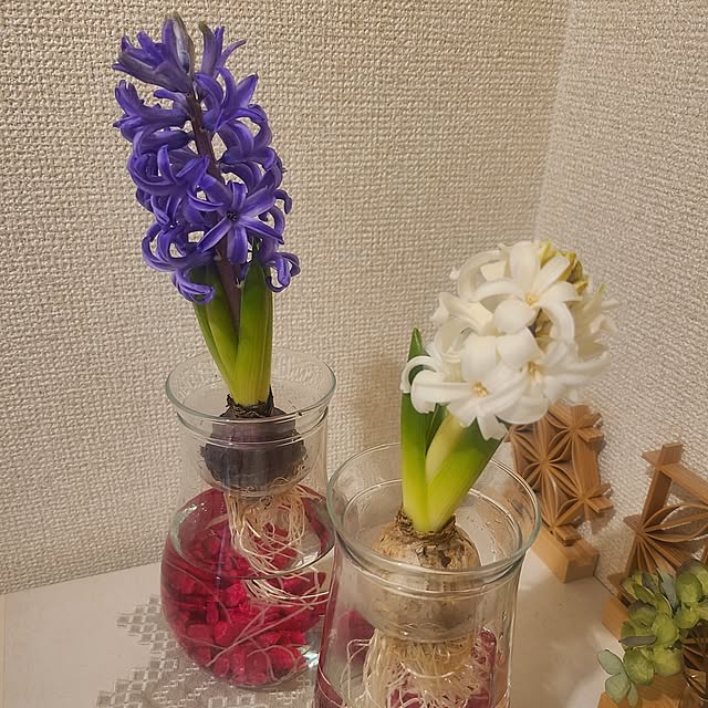 yuukaringoさんの実例写真