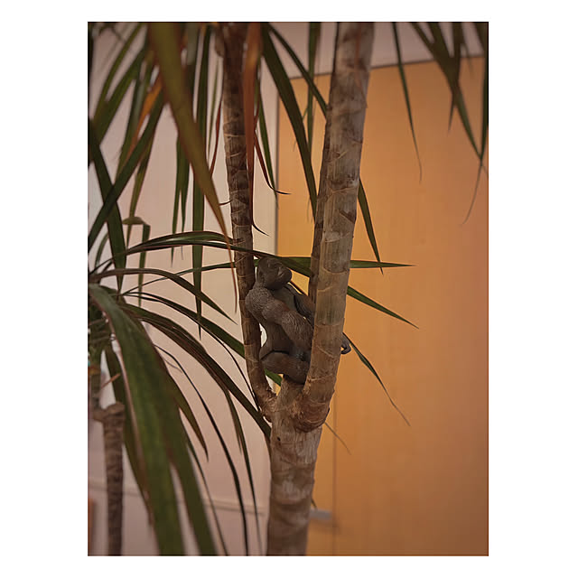 Oriorioさんの部屋