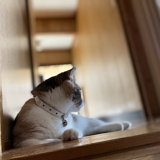 fukuさんの実例写真