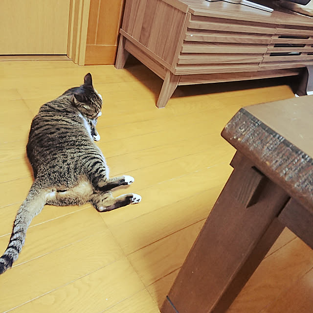 nachiさんの実例写真