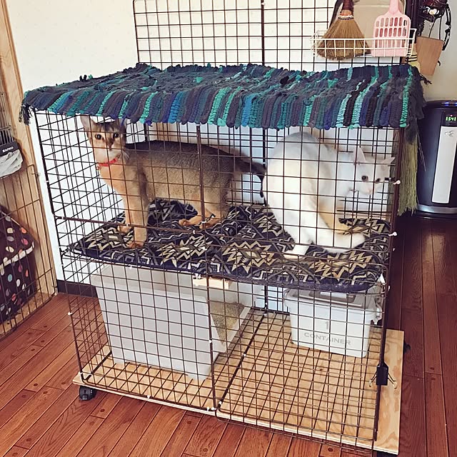 ririさんの実例写真