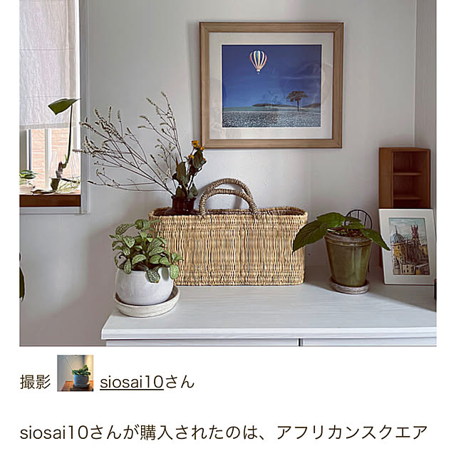 siosai10さんの実例写真