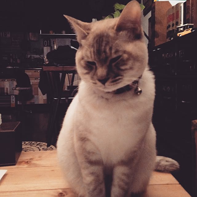 Naoki.さんの実例写真
