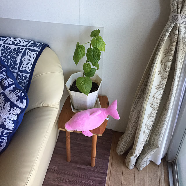PANDAKOPANDAさんの実例写真