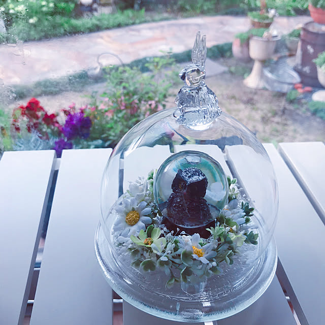 portulacaさんの実例写真