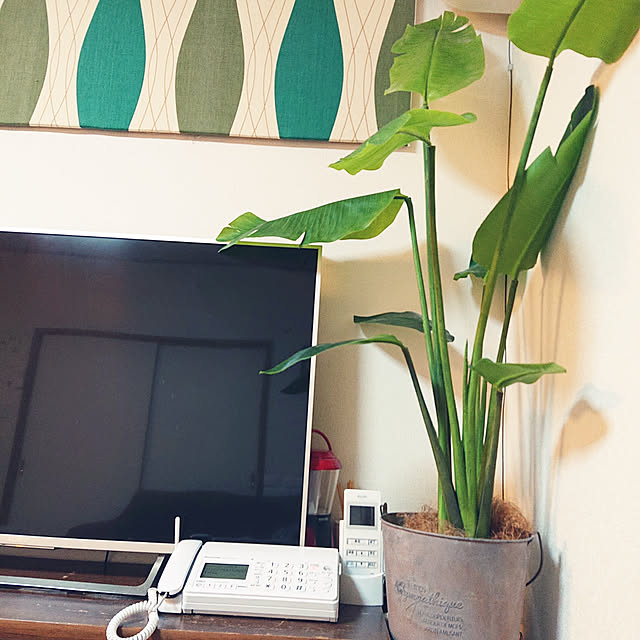 saiwaiさんの実例写真