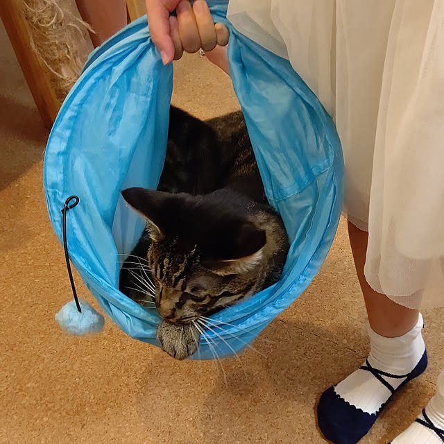 hihaさんの実例写真