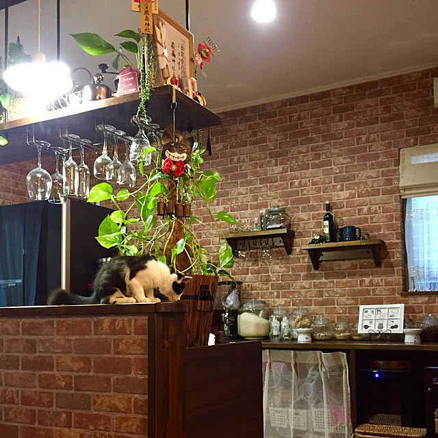 butachanさんの実例写真