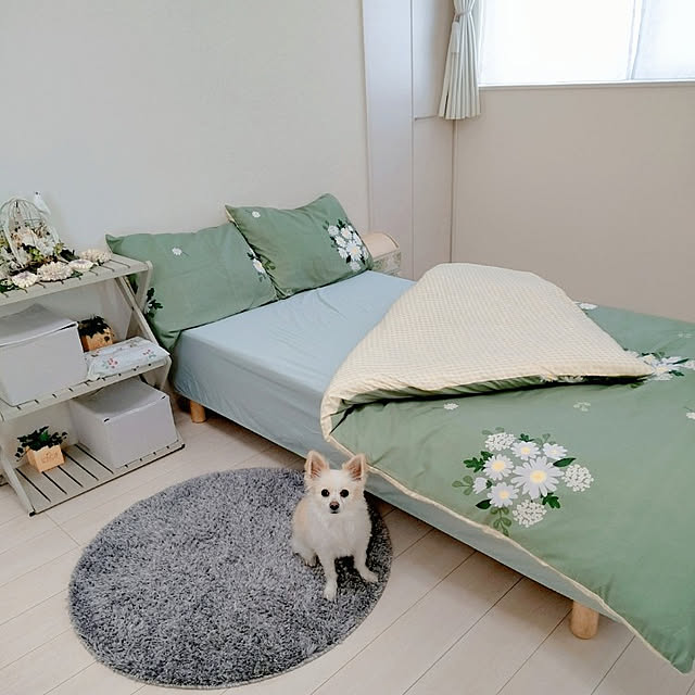 PAOさんの実例写真