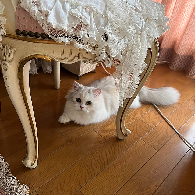 AYUKOさんの部屋