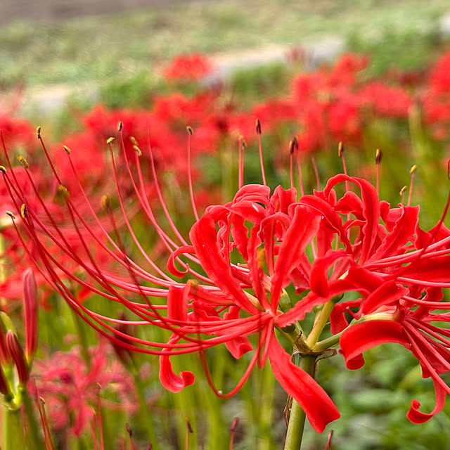 mizucchiさんの部屋