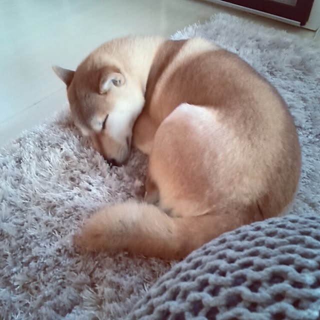 kさんの実例写真
