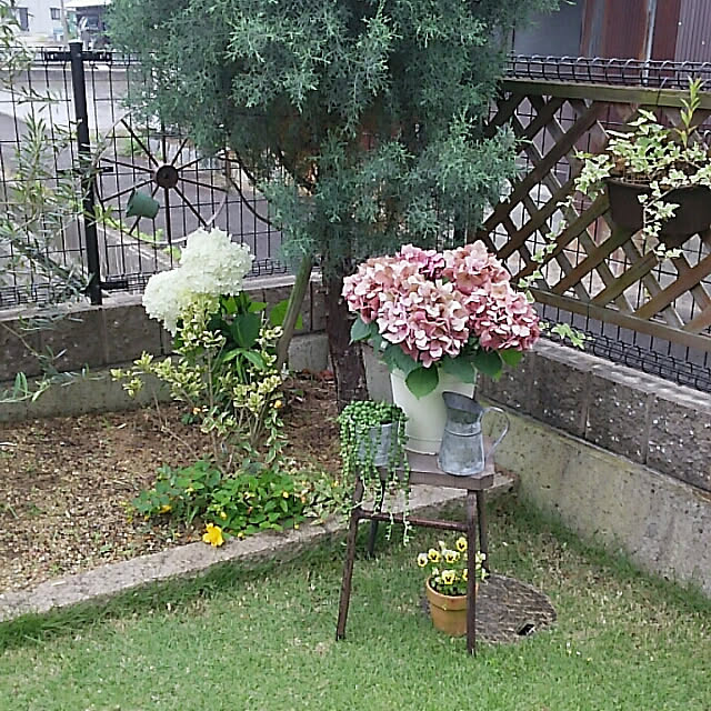 部屋全体/紫陽花のインテリア実例 - 2018-06-10 17:13:49