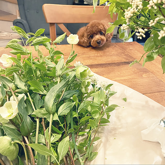 nikoさんの実例写真