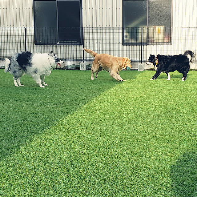 koteriinaさんの実例写真