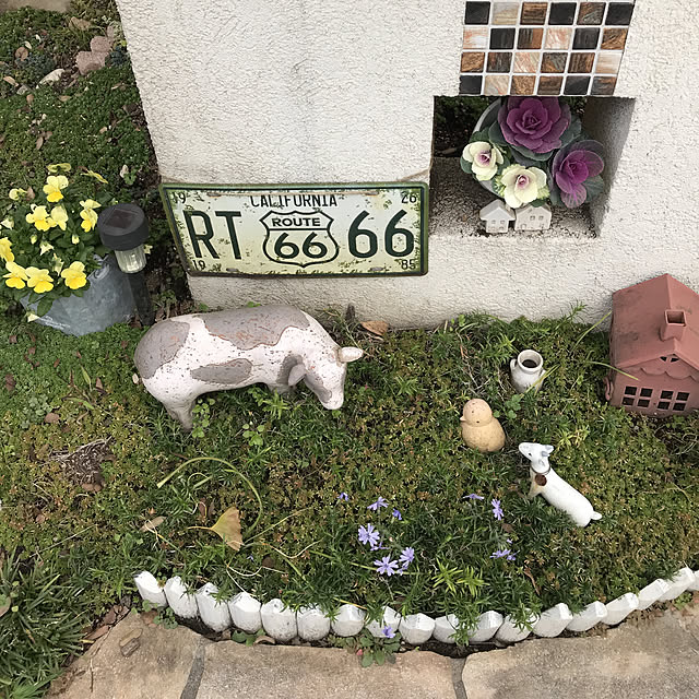 bo-zuさんの実例写真