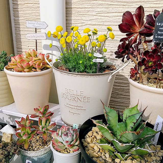 meiさんの実例写真