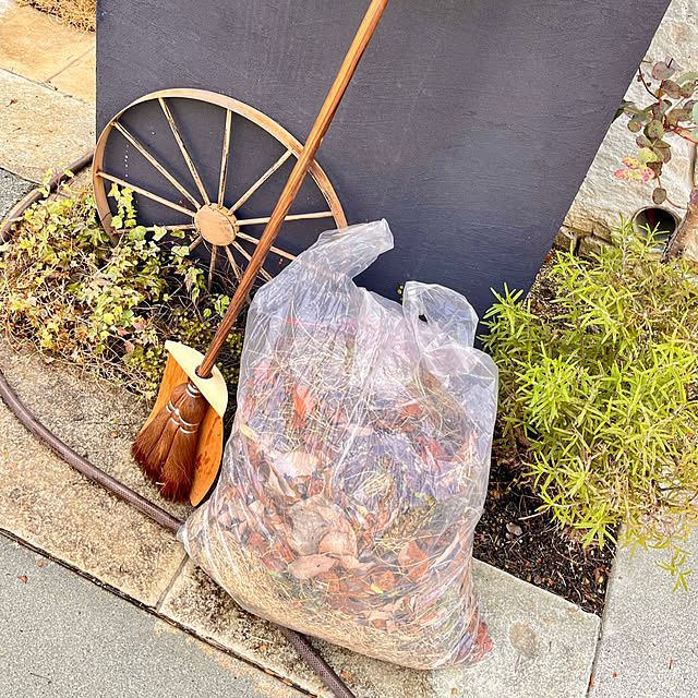 mikigumaさんの実例写真