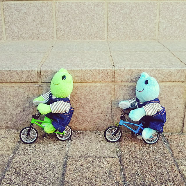 keroppiさんの実例写真