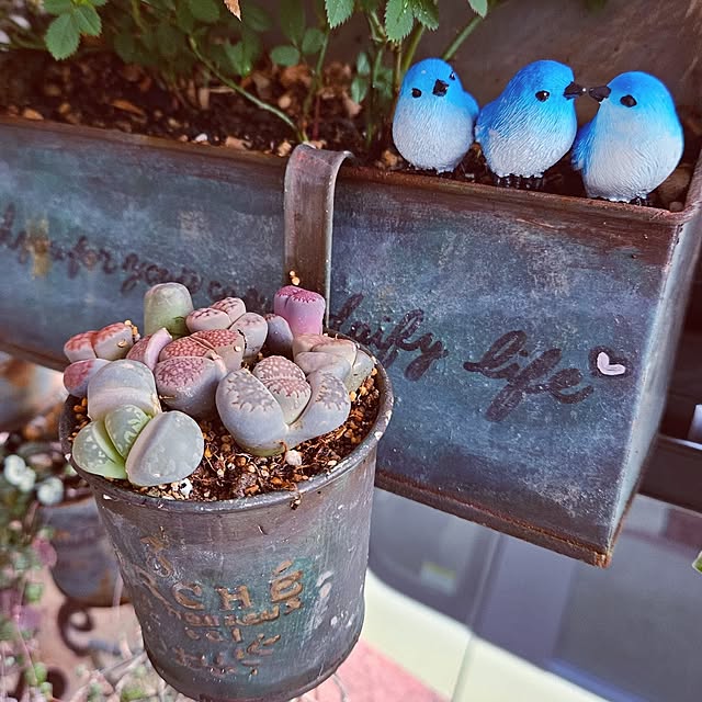 mocomocoさんの部屋