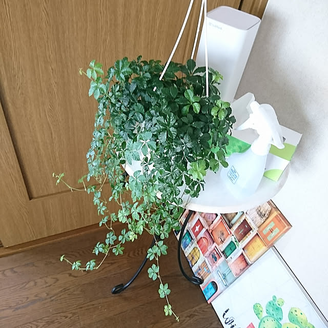 sさんの実例写真