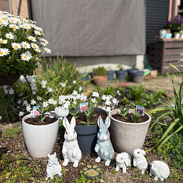 ritsukoさんの実例写真