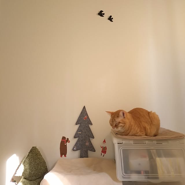 mayutan.さんの部屋