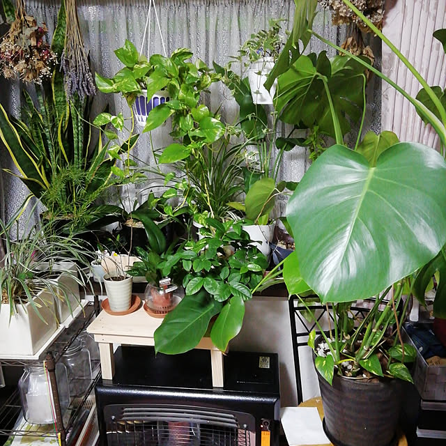 machiai0618さんの実例写真